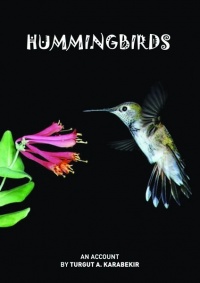 kitap-kapağı-Hummingbirds